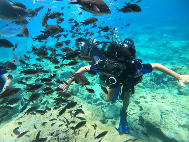 Elite diving Plongée M´diq